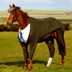 Meet your Posher, Chuck